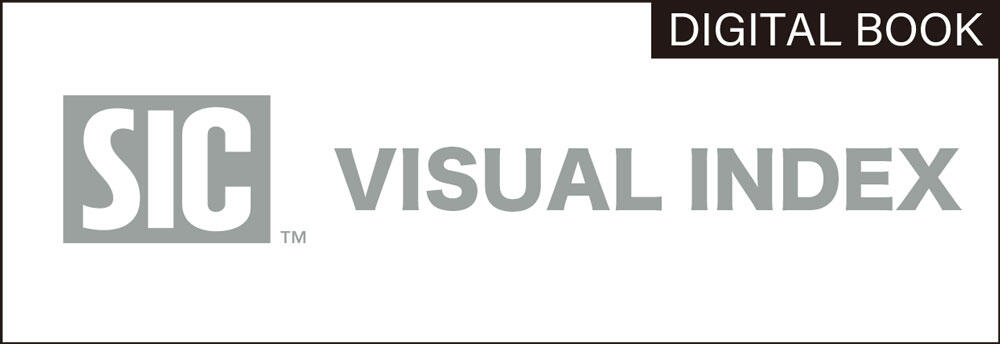 VISUAL INDEX